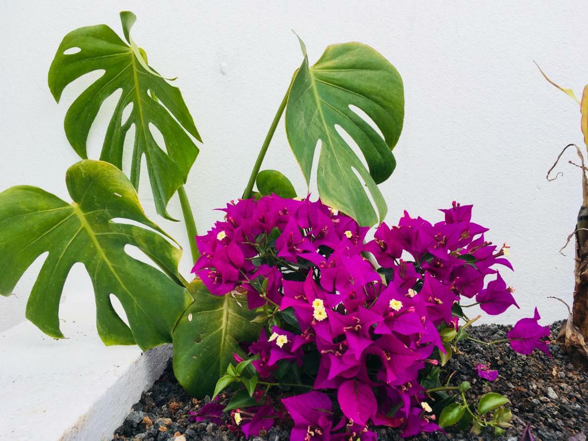 The Little White House, Suite Flower Beach 9 بلايا هوندا المظهر الخارجي الصورة